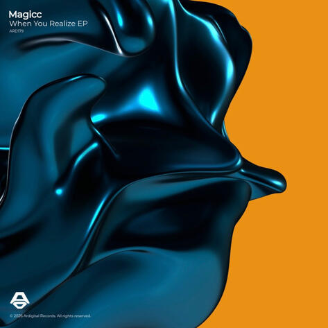 magicc - When you realize EP
